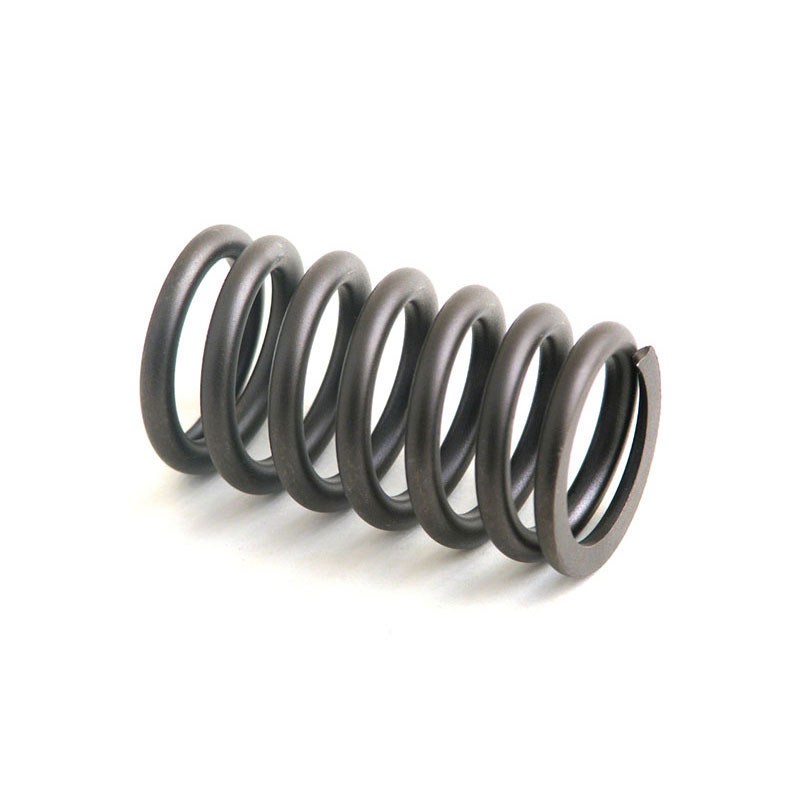RESORTE DE VALVULA